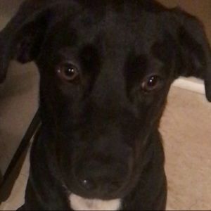 Meet your Posher, Jada